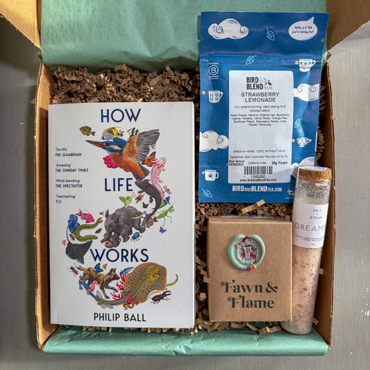 The Waterlily Lagoon Box